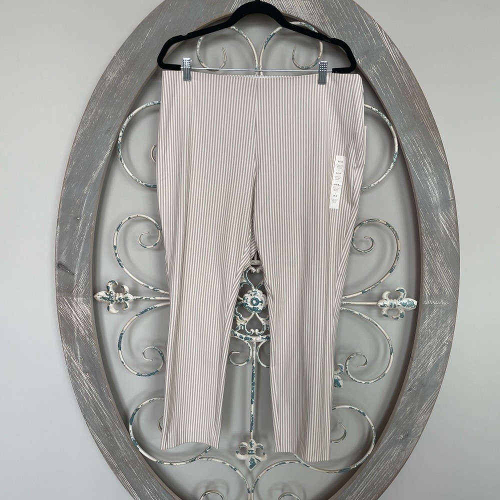 a new day pants
